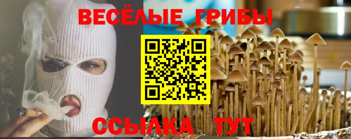Марихуана  Вход с VPN  Лсд 25  Кокаин  МЕТАДОН  Курчалой  ГАШ  Мефедрон кристаллы  ЭКСТАЗИ 