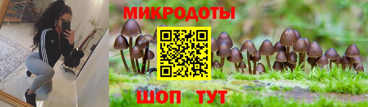 ГАШИШ Курчалой