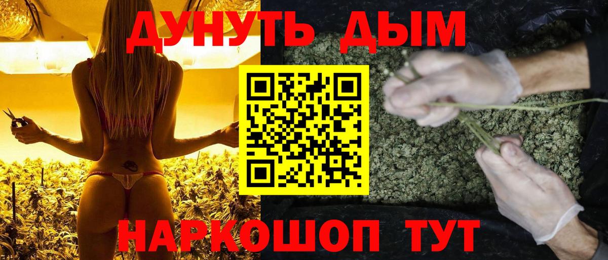 Курчалой  Бошки марихуана тримм  Шишки марихуана семена  Марихуана ГИДРОПОН  Вход с VPN 